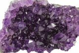 Dark Purple, Amethyst Crystal Cluster - Uruguay #122050-1